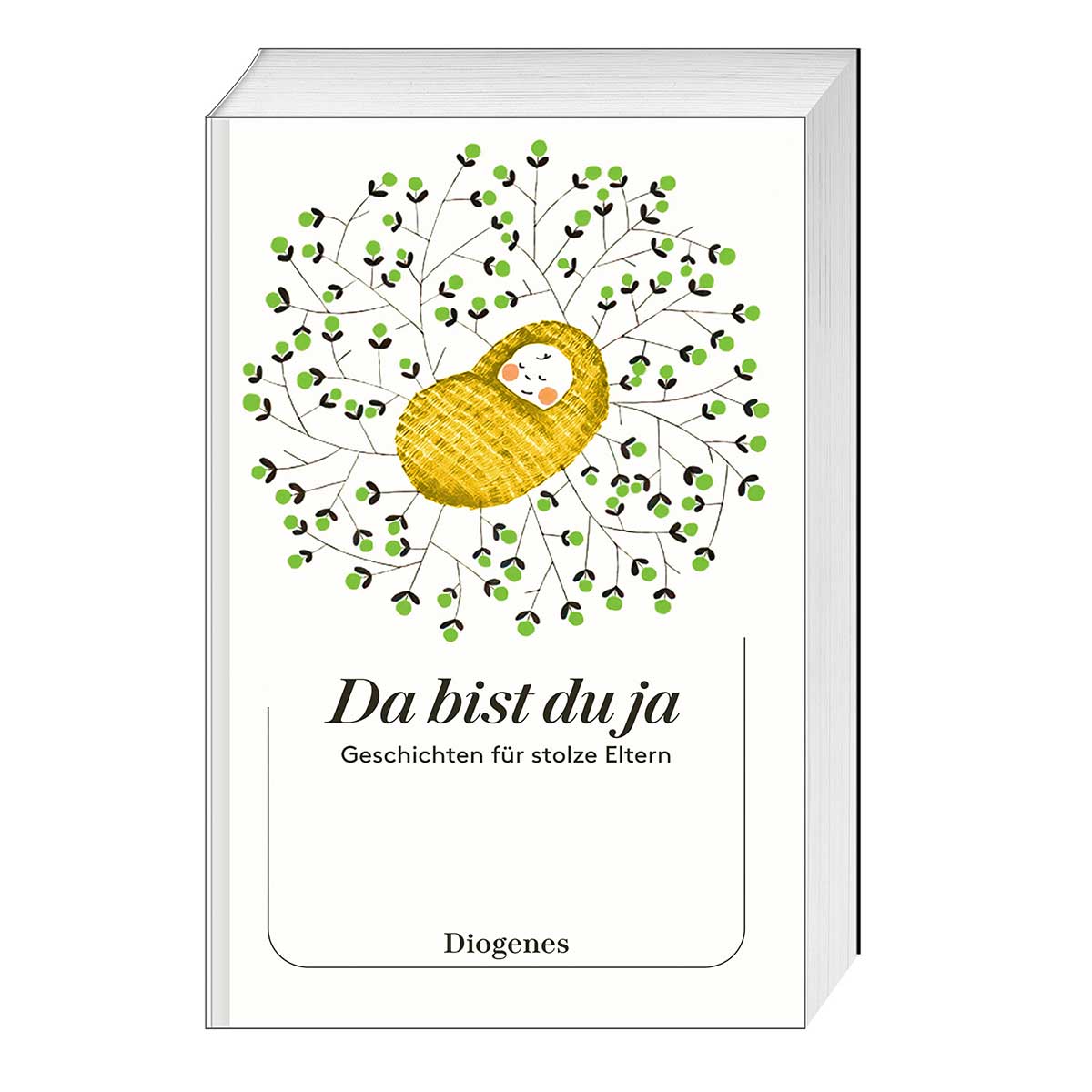 Da bist du ja von Diogenes Verlag AG