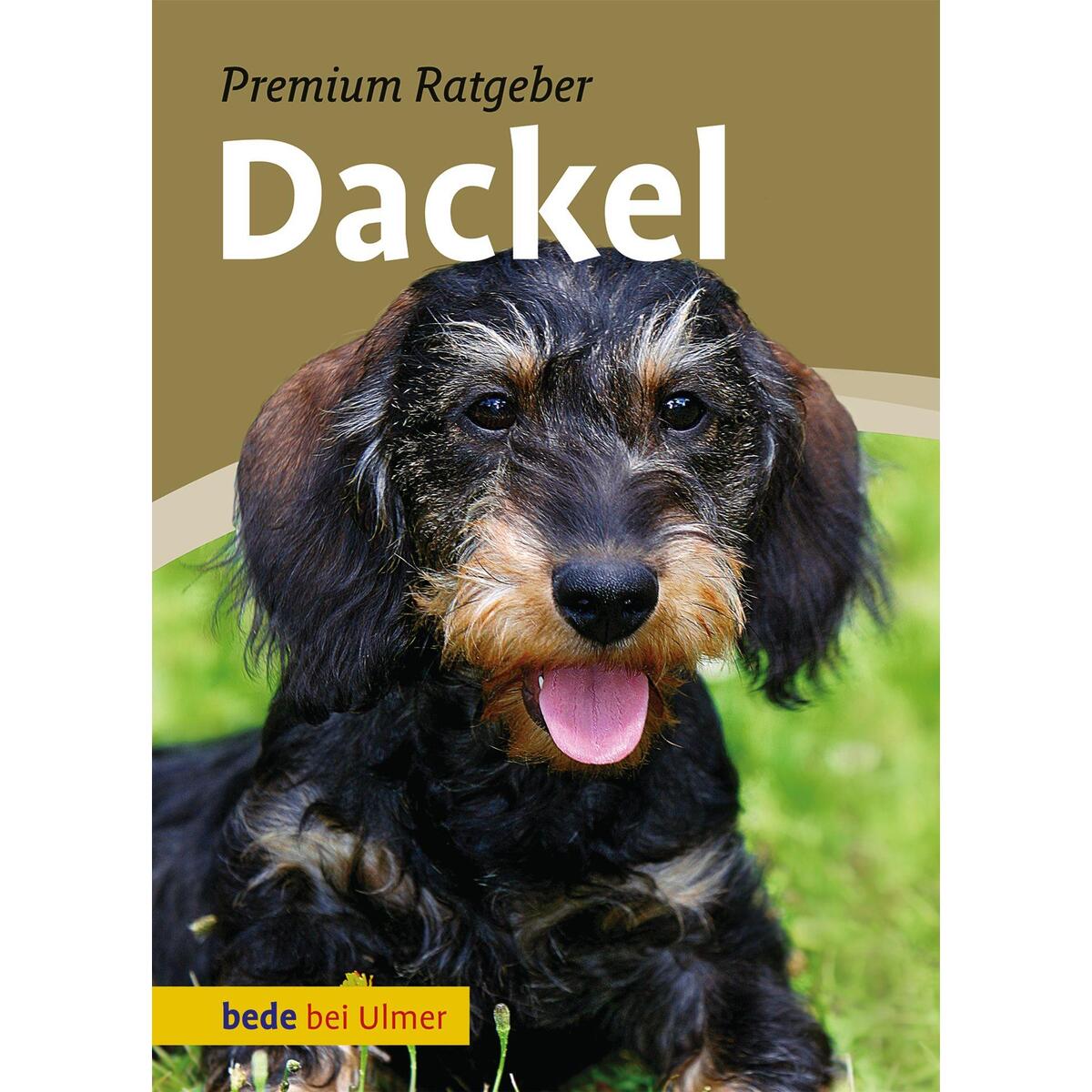 Dackel von Ulmer Eugen Verlag