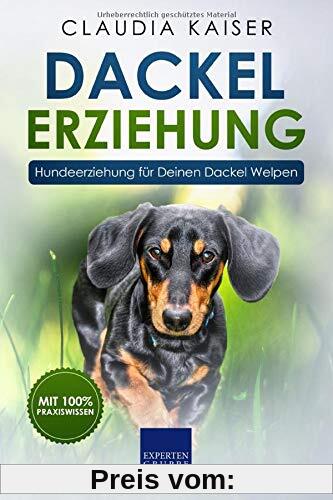 Dackel Erziehung: Hundeerziehung für Deinen Dackelwelpen (Teckel) (Dackel Band, Band 1)