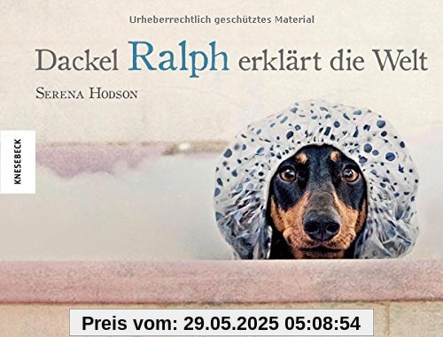 Dackel Ralph erklärt die Welt