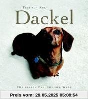 Dackel: Die besten Freunde der Welt