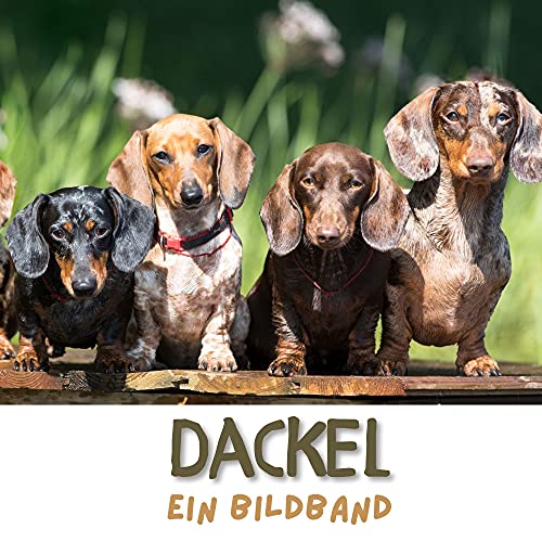Dackel: Ein Bildband