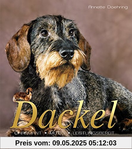 Dackel: Kleiner Hund mit großem Herz (Cadmos Großformat)