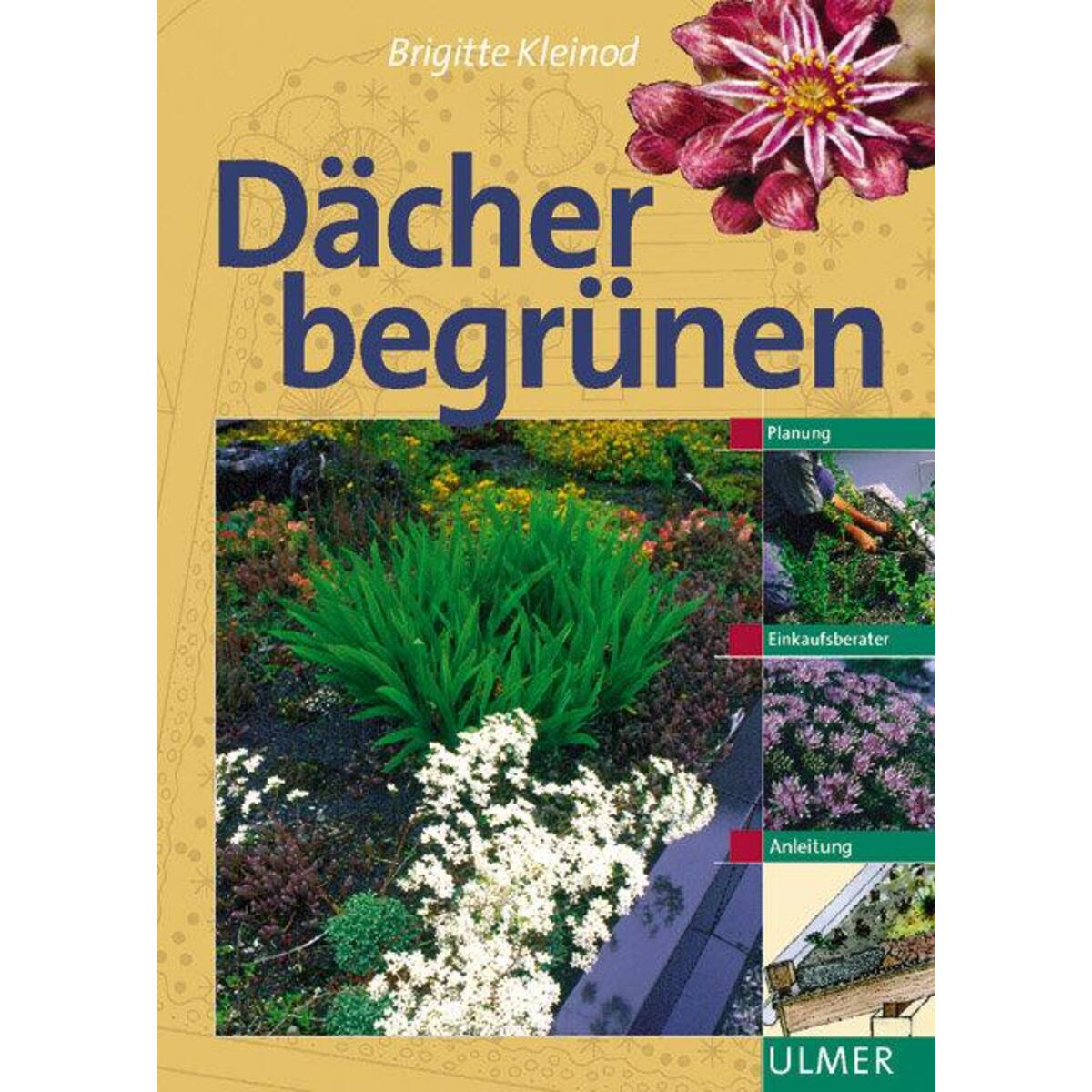 Dächer begrünen von Ulmer Eugen Verlag