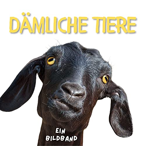 Dämliche Tiere: Ein Bildband