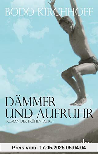 Dämmer und Aufruhr: Roman der frühen Jahre