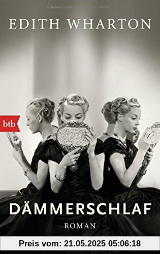 Dämmerschlaf: Roman Dämmerschlaf: Roman