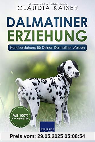 Dalmatiner Erziehung: Hundeerziehung für Deinen Dalmatiner Welpen Dalmatiner Erziehung: Hundeerziehung für Deinen Dalmatiner Welpen