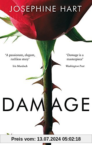 Damage (Virago Modern Classics, Band 173)