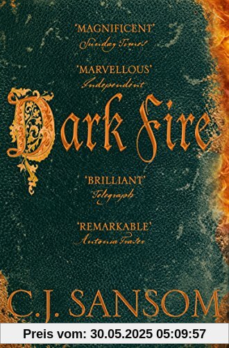 Dark Fire (The Shardlake series, Band 2)