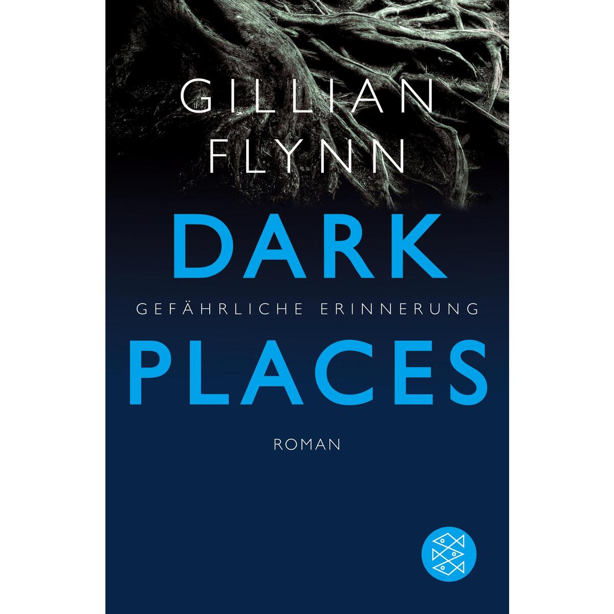 Dark Places - Gefährliche Erinnerung von S. Fischer Verlag