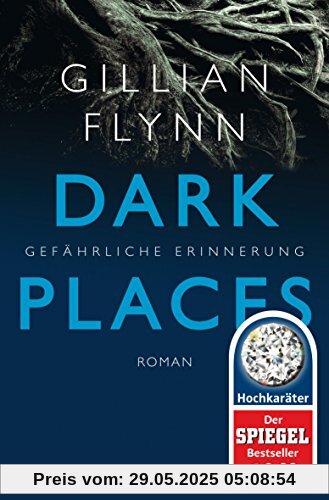 Dark Places - Gefährliche Erinnerung: Thriller