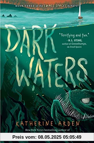 Dark Waters (Small Spaces Quartet, Band 3)