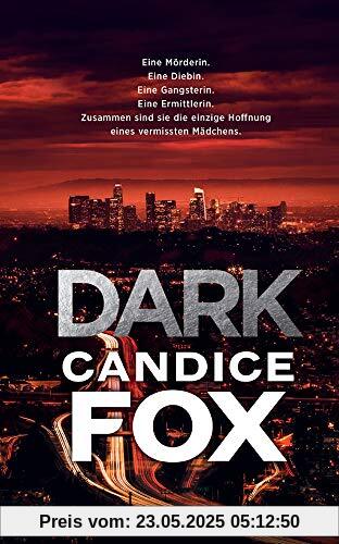 Dark: Thriller (suhrkamp taschenbuch)