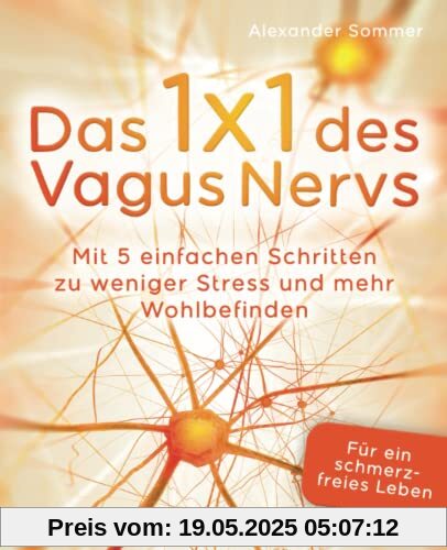 Das 1x1 des Vagus Nervs: Mit 5 einfachen Schritten zu weniger Stress und mehr Wohlbefinden