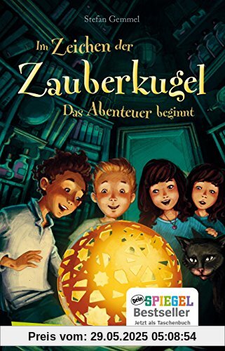 Das Abenteuer beginnt (Im Zeichen der Zauberkugel, Band 1)