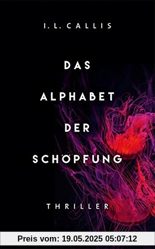 Das Alphabet der Schöpfung: Thriller