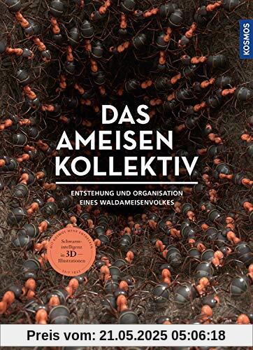 Das Ameisenkollektiv: Entstehung und Organisation eines Volkes der Roten Waldameise Das Ameisenkollektiv: Entstehung und Organisation eines Volkes der Roten Waldameise