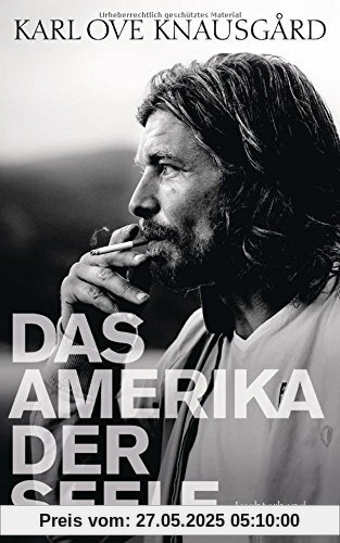 Das Amerika der Seele: Essays 1996-2013