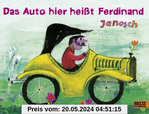 Das Auto hier heißt Ferdinand: Vierfarbiges Papp-Bilderbuch