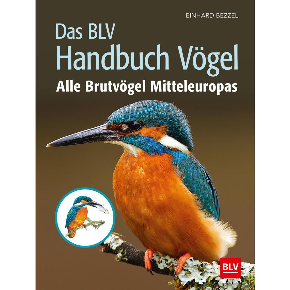 Das BLV Handbuch Vögel von Blv