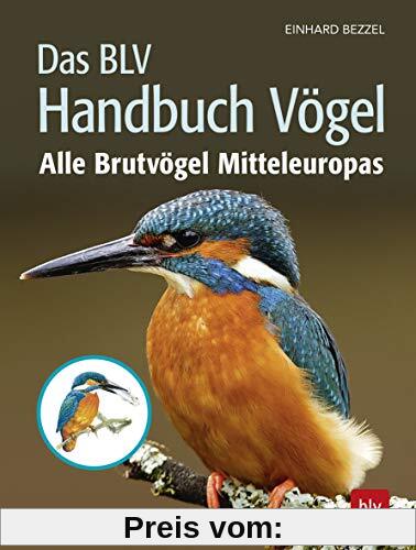 Das BLV Handbuch Vögel: Alle Brutvögel Mitteleuropas