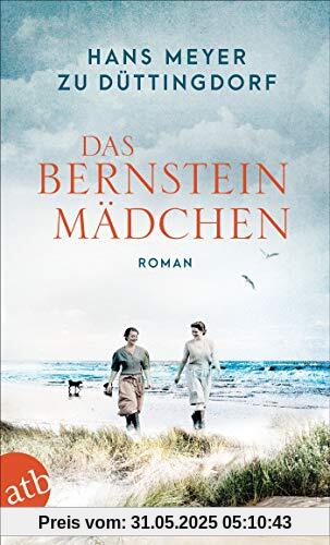 Das Bernsteinmädchen: Roman