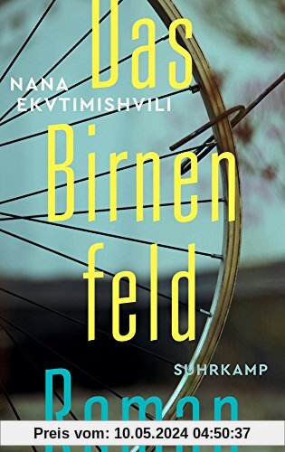 Das Birnenfeld: Roman (suhrkamp taschenbuch)
