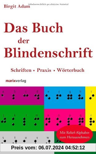 Das Buch der Blindenschrift: Schriften, Praxis, Wörterbuch