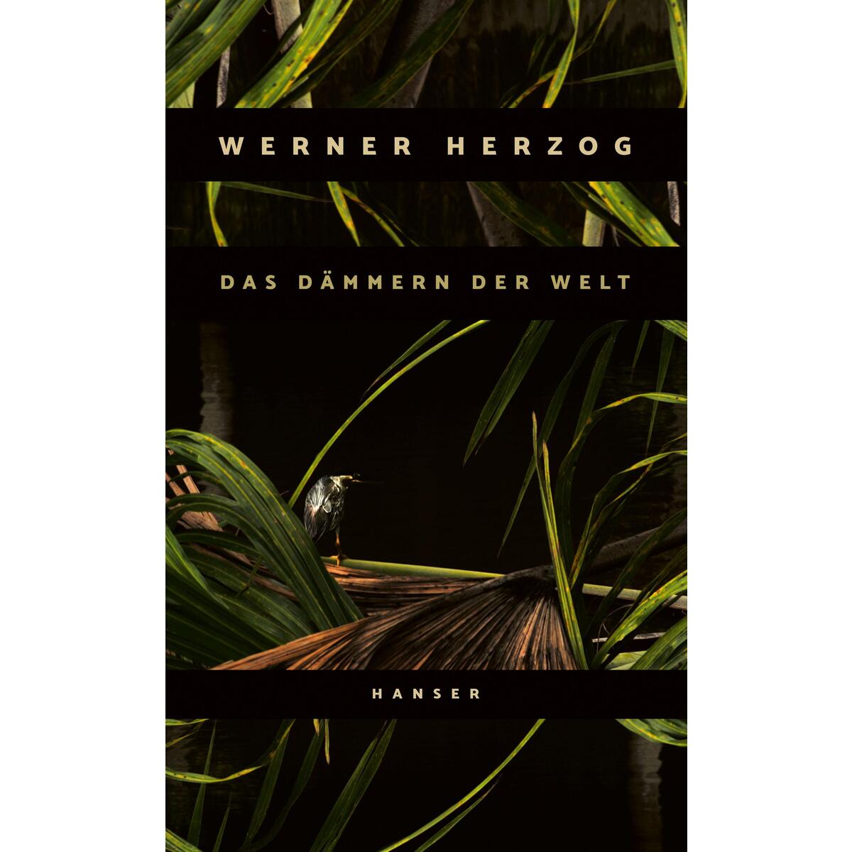 Das Dämmern der Welt von Carl Hanser Verlag