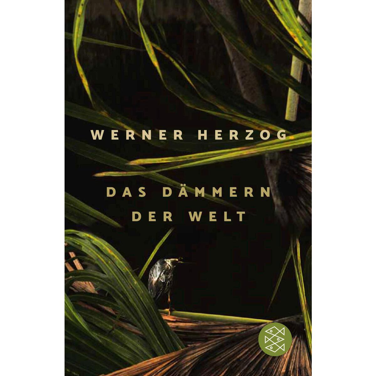 Das Dämmern der Welt von FISCHER Taschenbuch