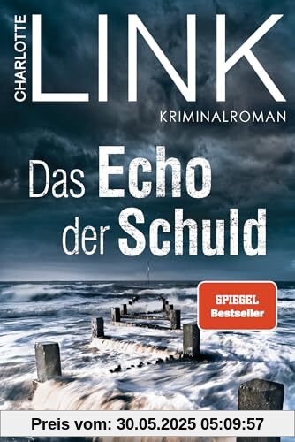Das Echo der Schuld: Kriminalroman Das Echo der Schuld: Kriminalroman
