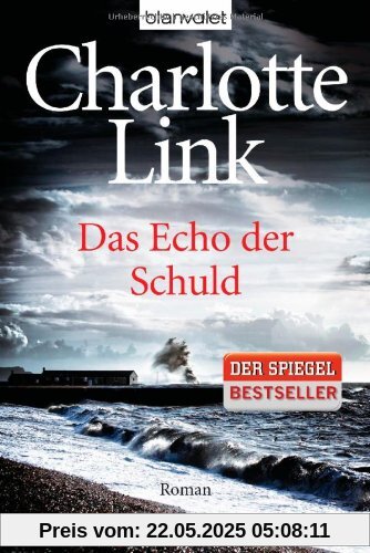 Das Echo der Schuld: Roman