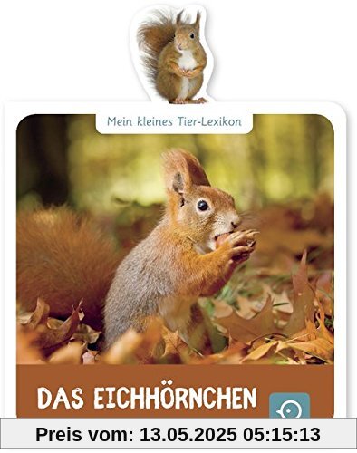 Das Eichhörnchen (Mein kleines Tier-Lexikon)