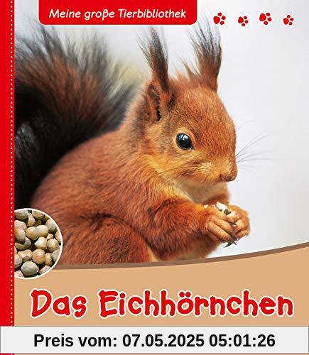 Das Eichhörnchen (Meine große Tierbibliothek)