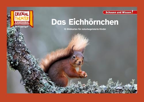 Das Eichhörnchen / Kamishibai Bildkarten: 12 Bildkarten für das Erzähltheater (Schauen und Wissen!) von Hase und Igel Verlag