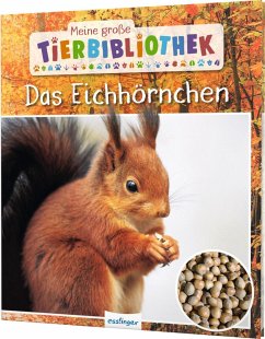 Das Eichhörnchen / Meine große Tierbibliothek Bd.20 von Esslinger in der Thienemann-Esslinger Verlag GmbH