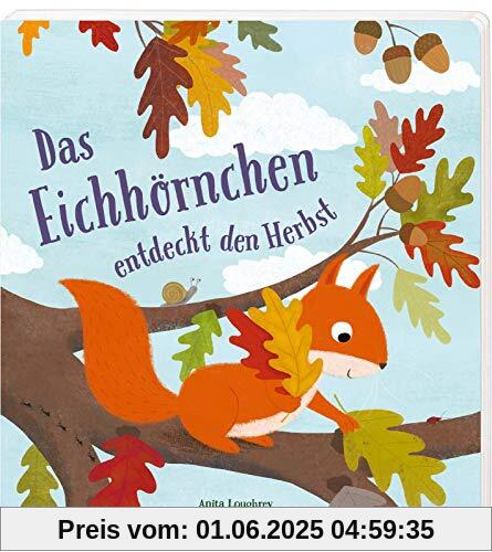 Das Eichhörnchen entdeckt den Herbst: Pappbilderbuch ab 2 mit kleinem Eichhörnchen, das viel Mitgefühl zeigt und etwas über den Herbst lernt