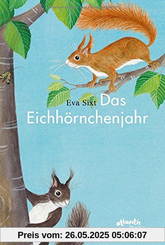 Das Eichhörnchenjahr