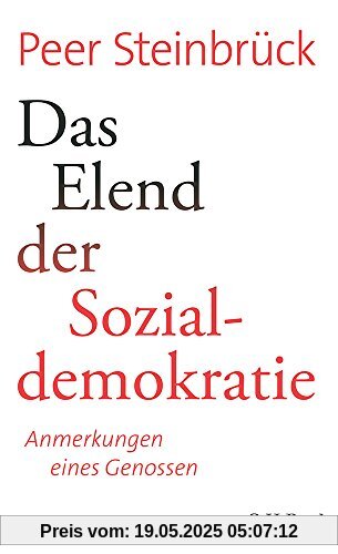 Das Elend der Sozialdemokratie: Anmerkungen eines Genossen