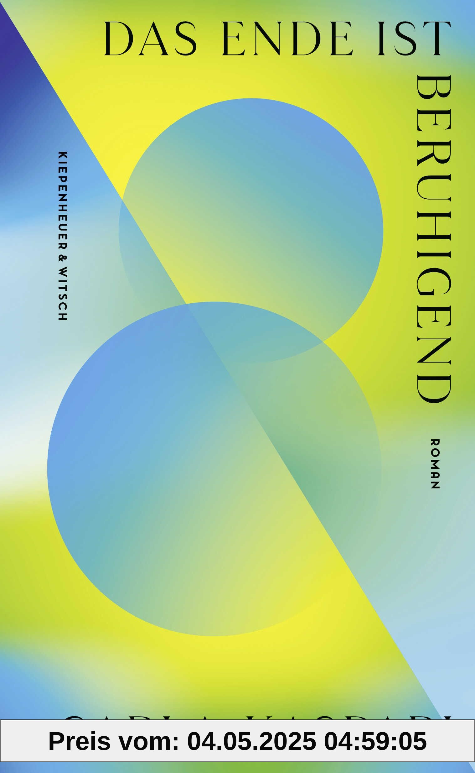 Das Ende ist beruhigend: Roman