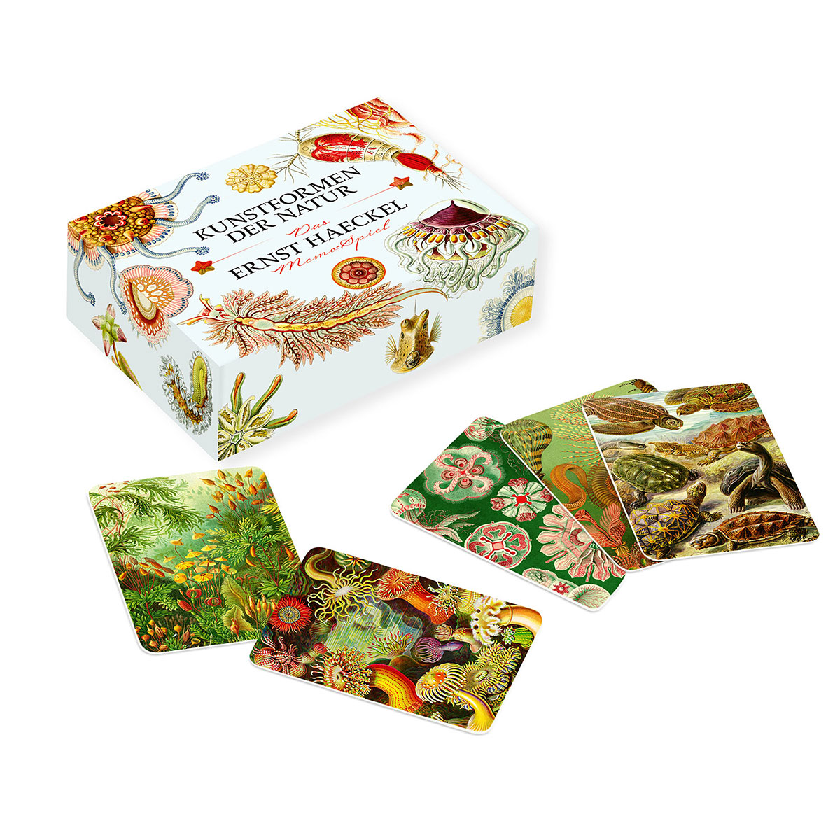Das Ernst-Haeckel-Memo-Spiel Das Ernst-Haeckel-Memo-Spiel von Favoritenpresse