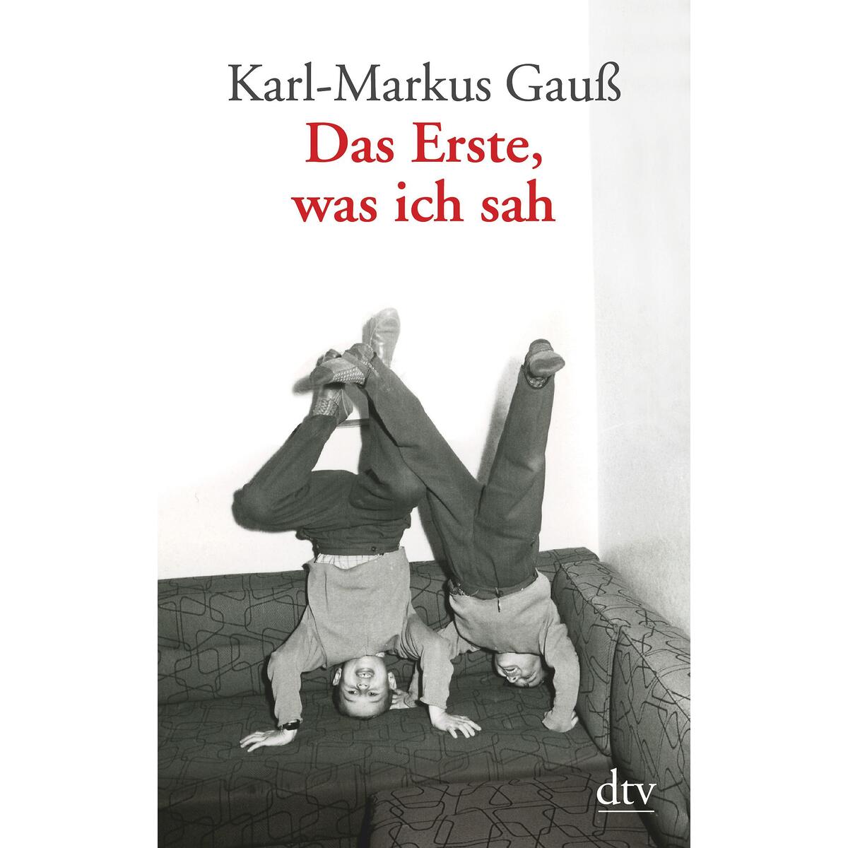 Das Erste, was ich sah von dtv Verlagsgesellschaft