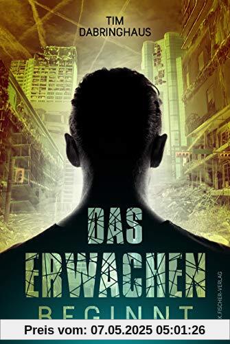 Das Erwachen beginnt