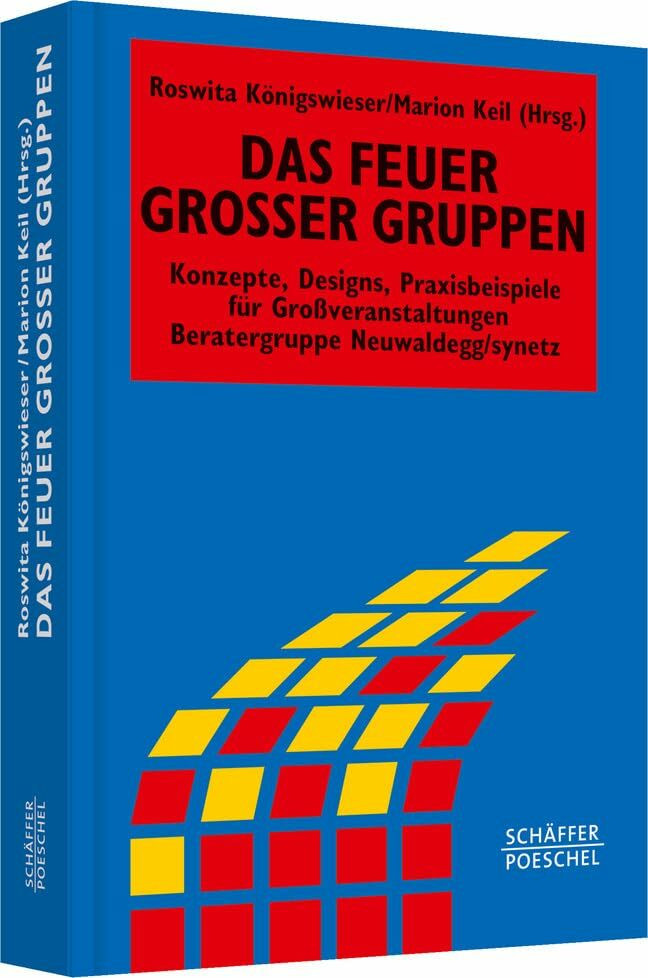 Das Feuer großer Gruppen: Konzepte, Designs, Praxisbeispiele für Grossveranstaltungen (Systemi...