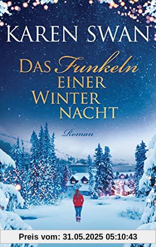 Das Funkeln einer Winternacht: Roman