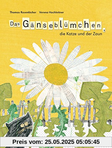 Das Gänseblümchen, die Katze und der Zaun