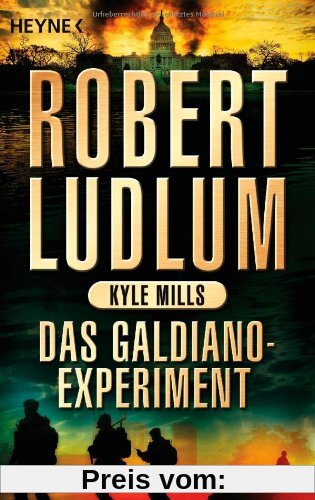 Das Galdiano-Experiment: Roman