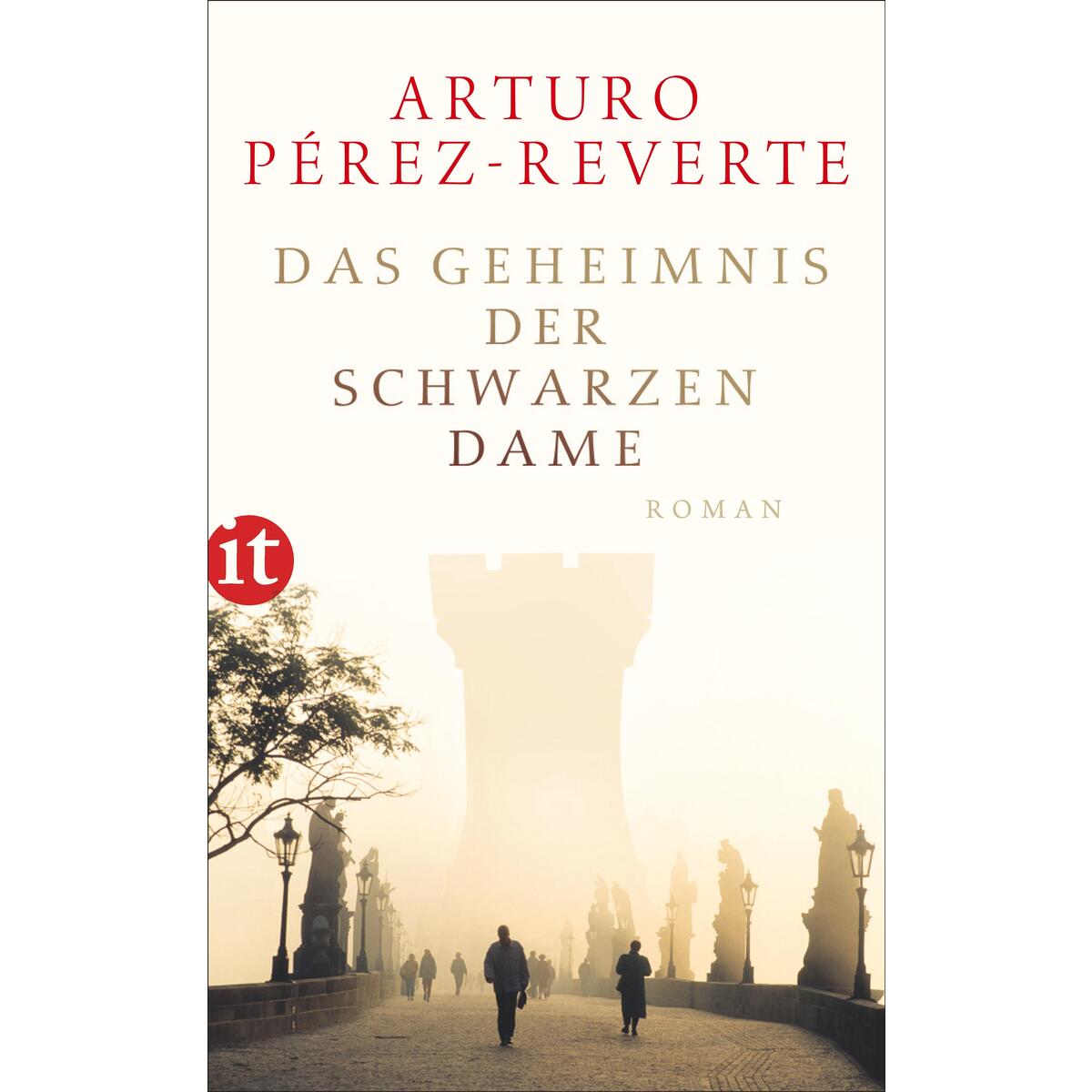 Das Geheimnis der schwarzen Dame von Insel Verlag GmbH