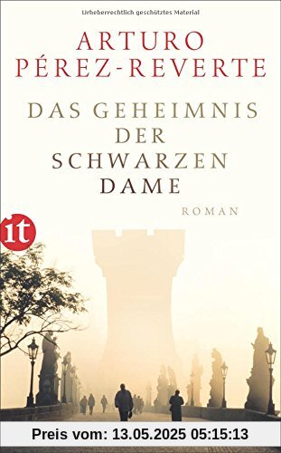 Das Geheimnis der schwarzen Dame: Roman (insel taschenbuch)